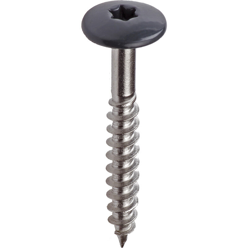Afbeelding voor Torxschroef rvs 4,8x38 mm ral 7038