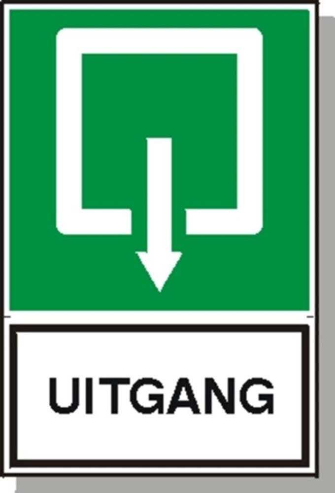 Afbeelding voor Picto uitgang gr/w 200x300